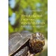 Metody badań i ochrony żółwia błotnego. Podręcznik metodyczny - SŁAWOMIR MITRUS