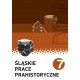 Śląskie Prace Prahistoryczne Tom 7 + CD