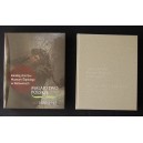 Malarstwo polskie 1800-1945. Katalog zbiorów Muzeum Śląskiego w Katowicach