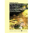 Rola lasu nadrzecznego w kształtowaniu koryta rzeki meandrującej na przykładzie Małej Panwi (Równina Opolska) - IRENEUSZ MALIK