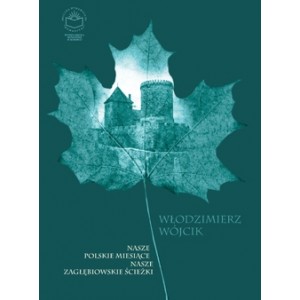 Nasze polskie miesiące. Nasze zagłębiowskie ścieżki - Włodzimierz Wójcik