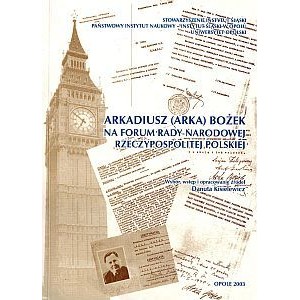 Arkadiusz (Arka) Bożek na forum Rady Narodowej Rzeczypospolitej Polskiej