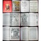 Mowy kościelne Fabiana Birkowskiego o świętym Jacku - Orationes ecclesiasticae Fabiani Bircovii hyacinthinae
