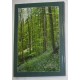 Fitosocjologiczne uwarunkowania ochrony przyrody Beskidu Śląskiego (Karpaty Zachodnie) - ZBIGNIEW WILCZEK