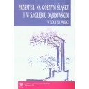 Przemysł na Górnym Śląsku i w Zagłębiu Dąbrowskim w XIX i XX wieku. Wybrane zagadnienia