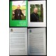 Katecheza w służbie słowa BożegoGO - BP GERARD KUSZ