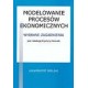Modelowanie procesów ekonomicznych. Wybrane zagadnienia