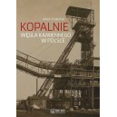 Kopalnie węgla kamiennego w Polsce - Adam Frużyński