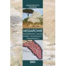  Messapiowie - Pawlak Małgorzata