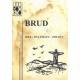 Brud - Idee - Dylematy - Sprawy