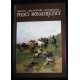 Brandt... Malczewski... Siemiradzki... Polscy monachijczycy. Malarze polscy w kręgu Akademii Sztuk Pięknych w Monachium 1828-